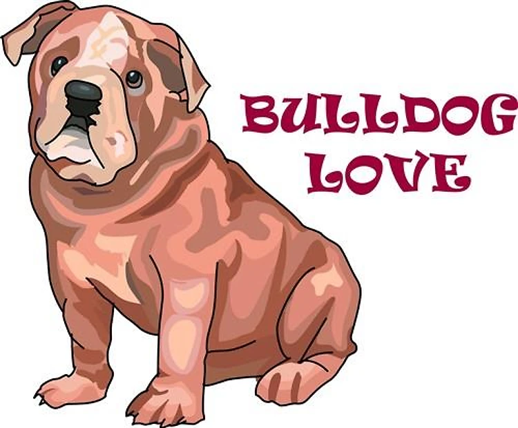 BULLDOG LOVE