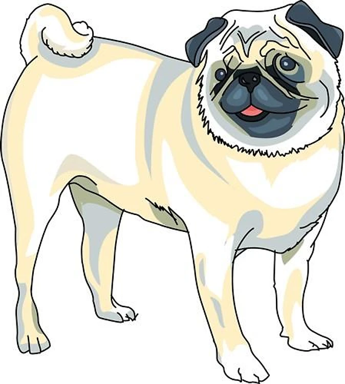 PUG