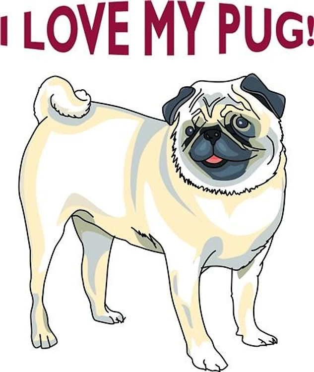 I LOVE MY PUG!
