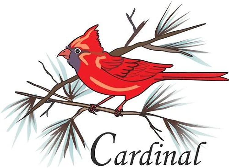 CARDINAL