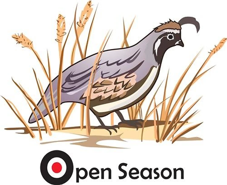 OPEN SEASON
