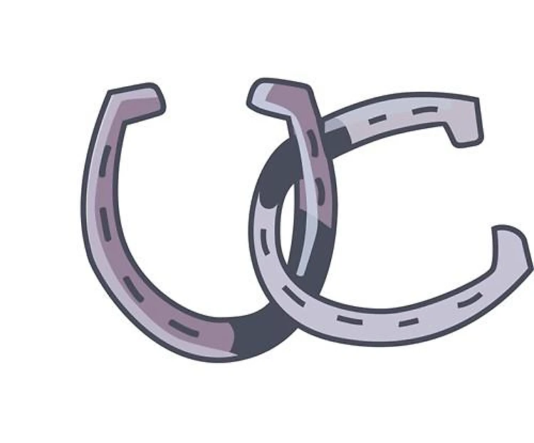 HORSESHOES