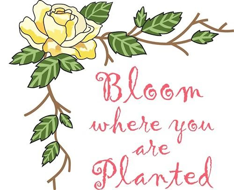 BLOOM...