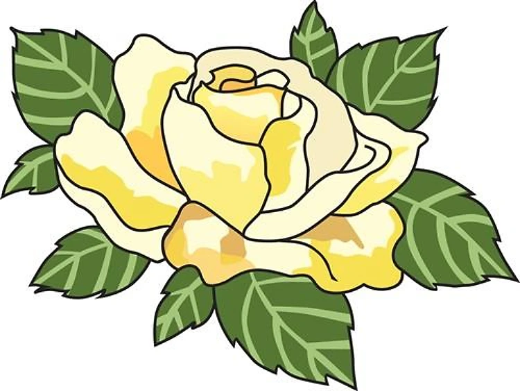 YELLOW ROSE