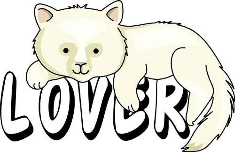 WHITE CAT LOVER