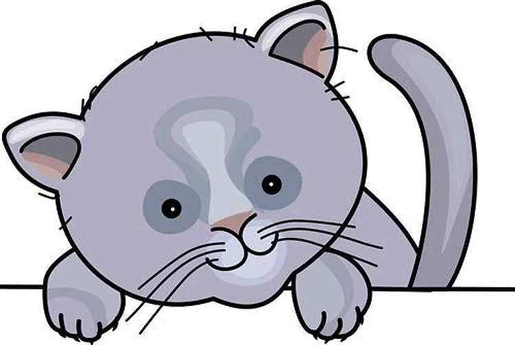 CAT PLAYING
