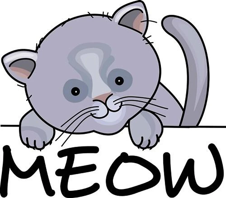 CAT MEOW