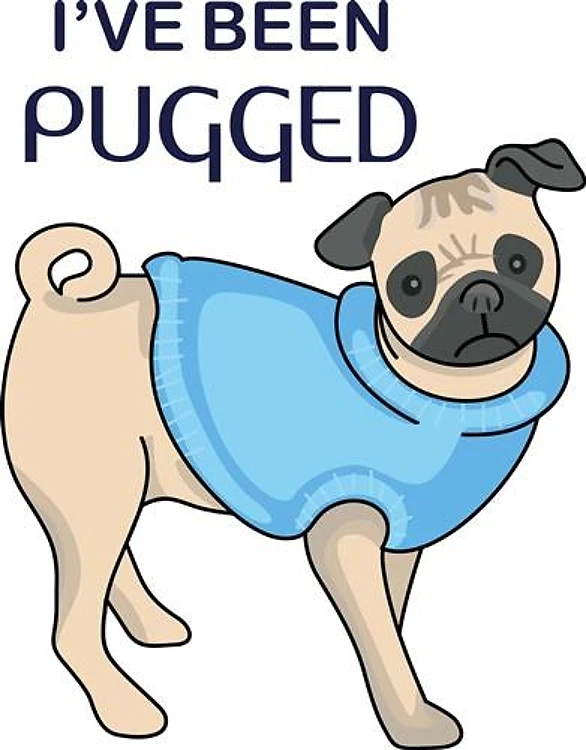 PUG DOG
