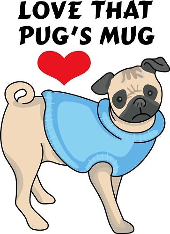 PUG DOG
