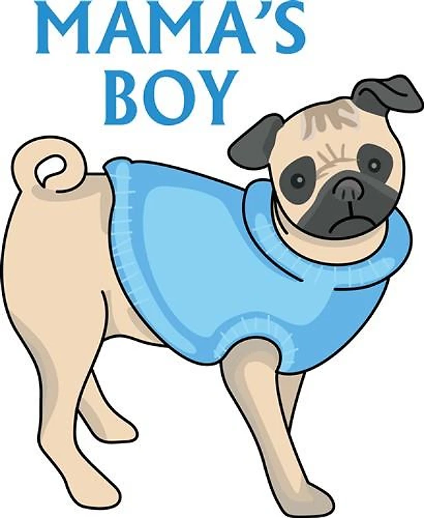 PUG DOG