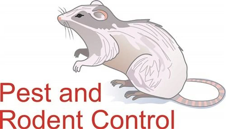 PEST AND RODENT CONTROL