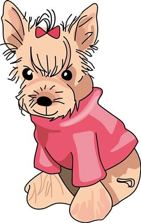 YORKSHIRE TERRIER DOG