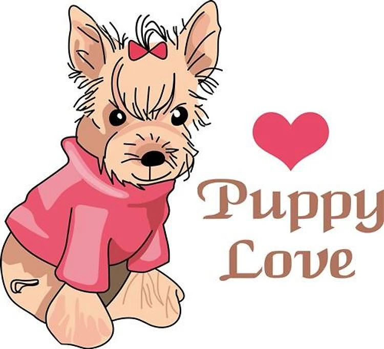 YORKSHIRE TERRIER DOG
