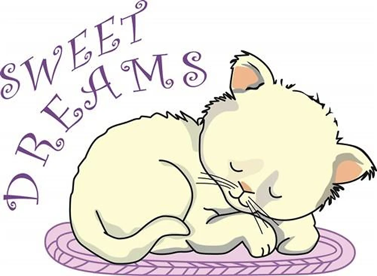 SWEET DREAMS