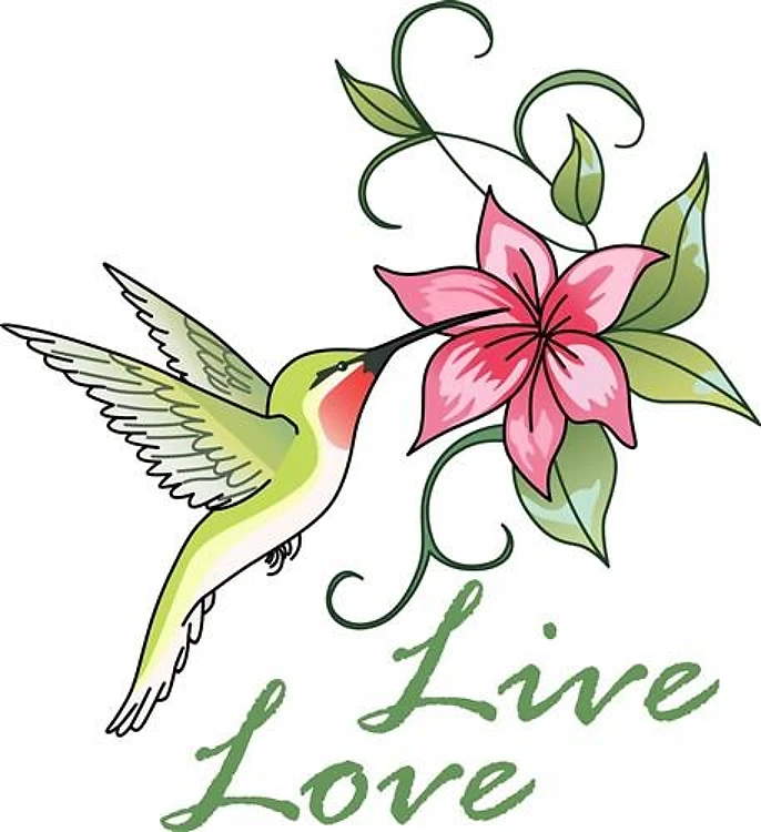 LIVE LOVE