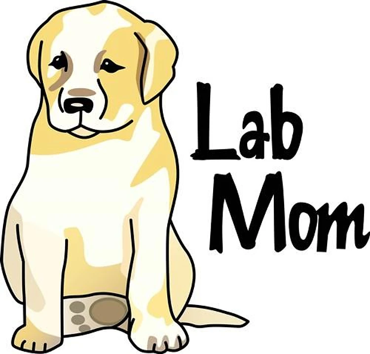 LAB MOM
