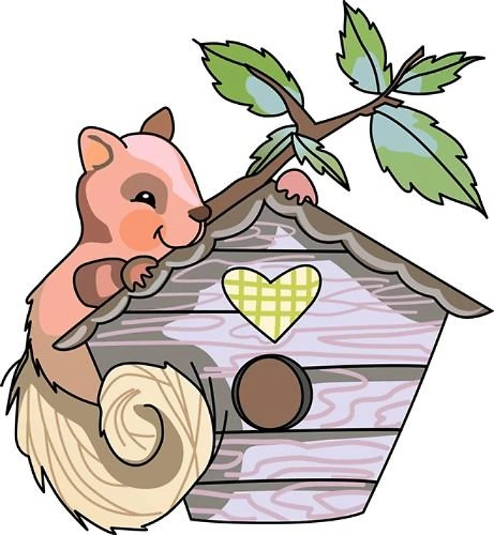 SQUIRREL ON BIRDHOUSE
