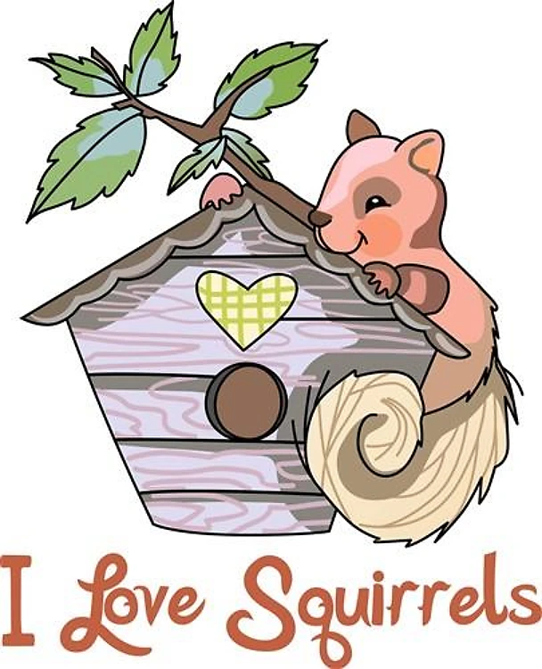 I LOVE SQUIRRELS