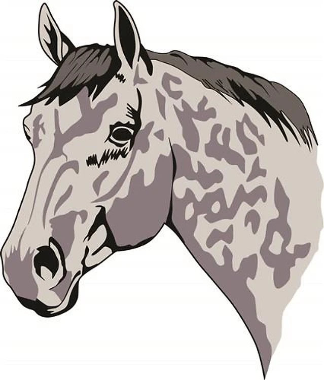 APPALOOSA HEAD