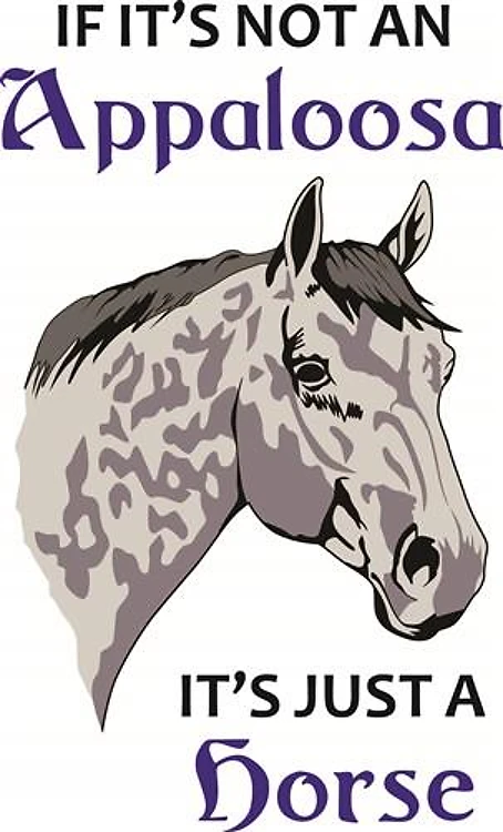 IF ITS NOT AN APPALOOSA