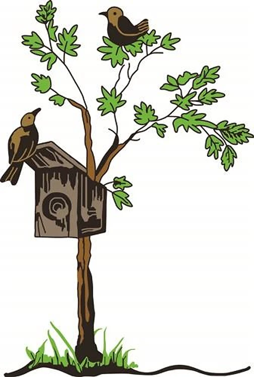 BIRDS WITH NESTING BOX