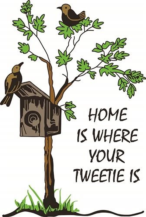 HOME IS WHERE