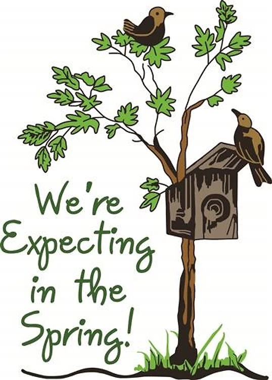 BIRDS WITH NESTING BOX