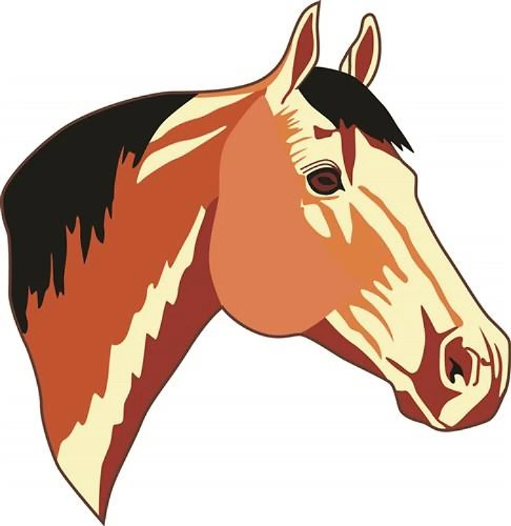 BUCKSKIN QUARTER HORSE