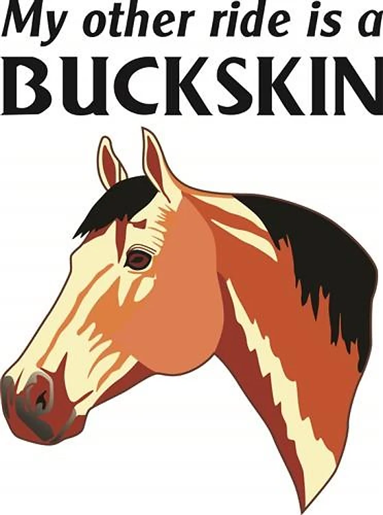 MY OTHER RIDE IS