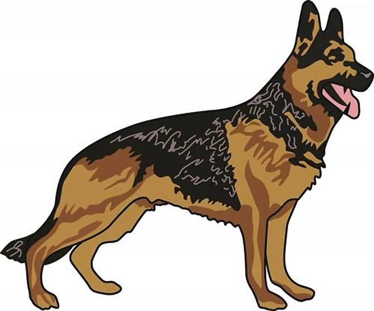 GERMAN SHEPHERD DOG
