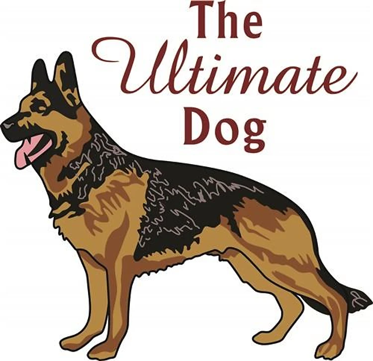 THE ULTIMATE DOG