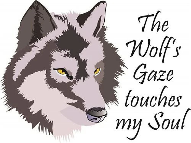 WOLFS GAZE TOUCHES SOUL