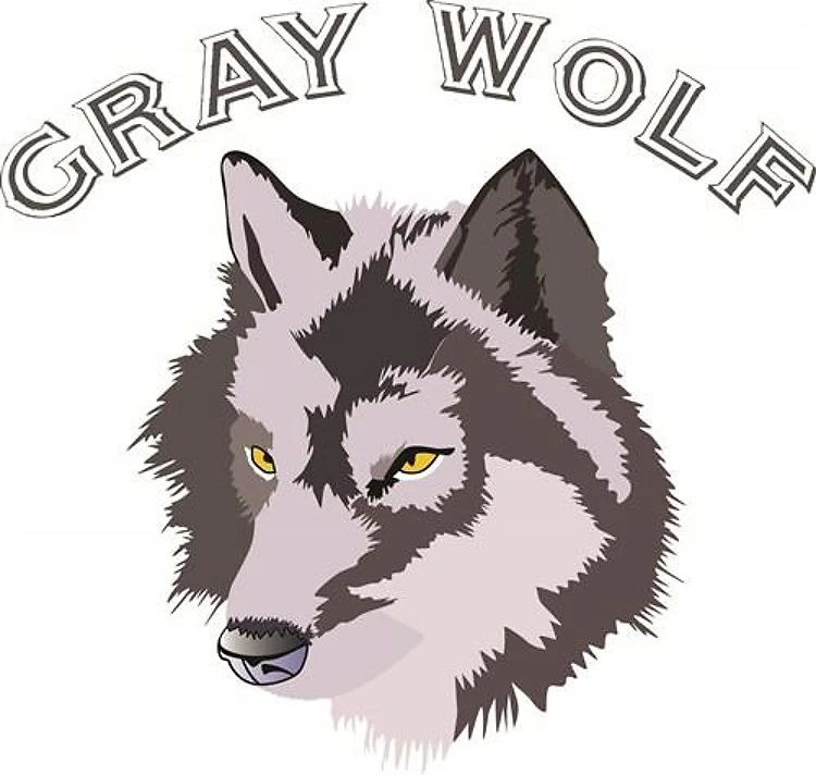 GRAY WOLF