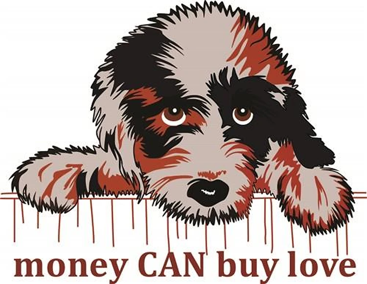 MONEY CAN BUY LOVE