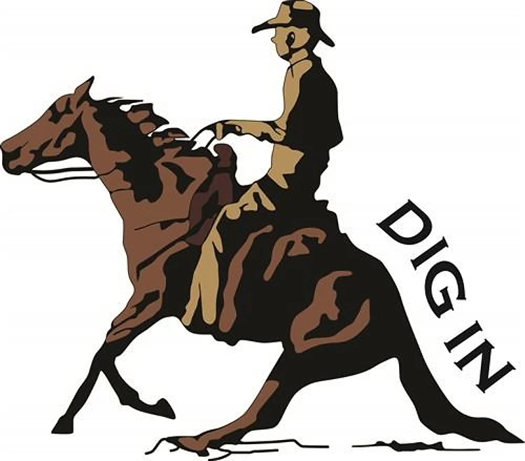 DIG IN
