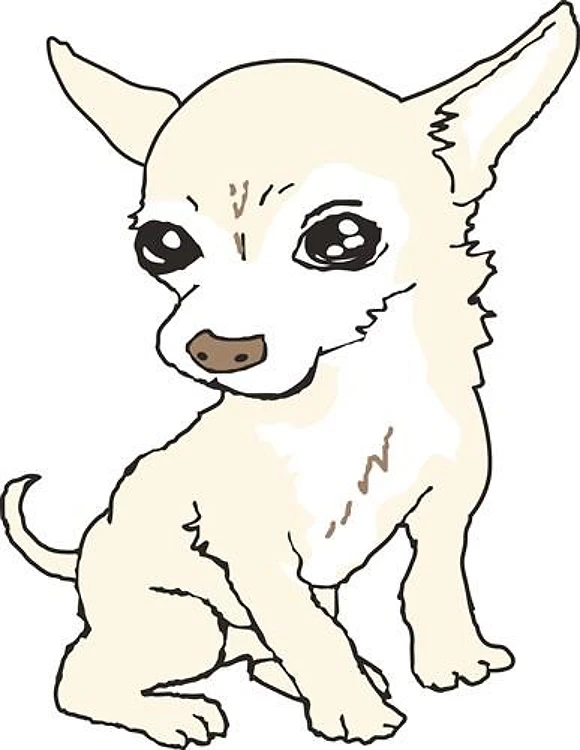 CHIHUAHUA DOG