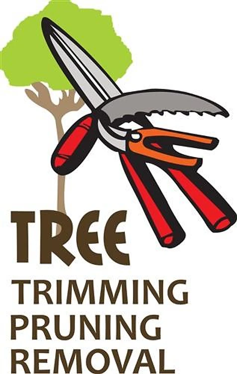 TRIMMING PRUNING REMOVAL