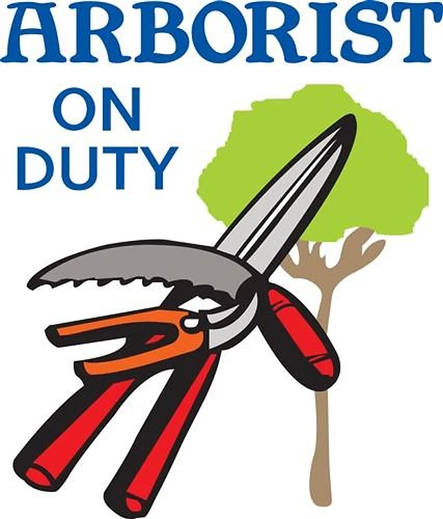 ARBORIST ON DUTY