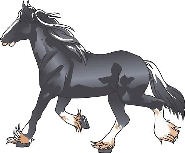 DRAFT HORSE