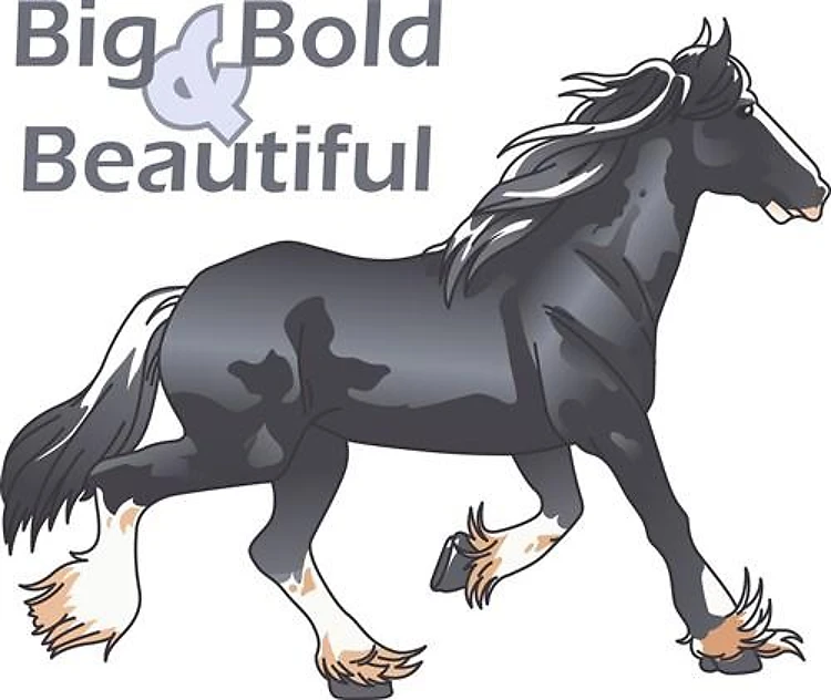BIG BOLD AND BEAUTIFUL