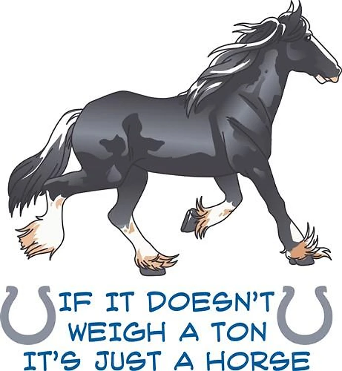 IF IT DOESNT WEIGH A TON