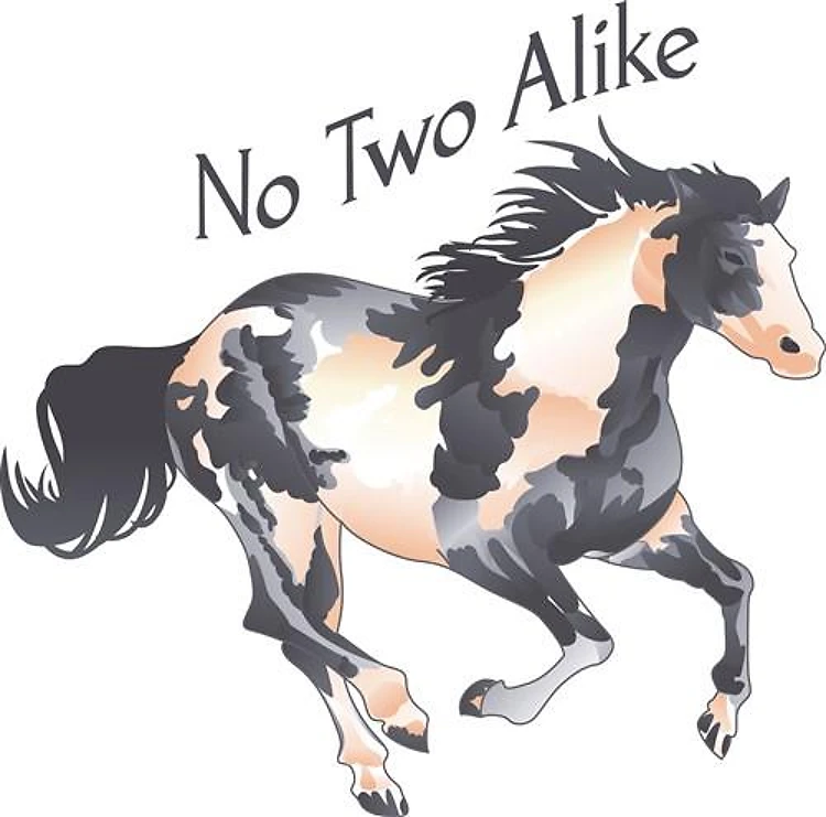 NO TWO ALIKE