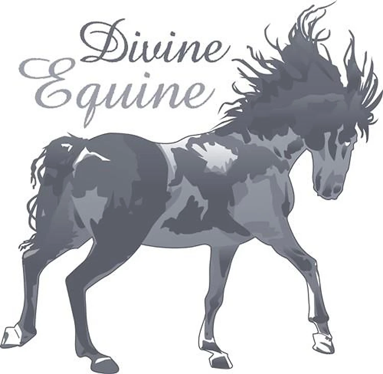 DIVINE EQUINE