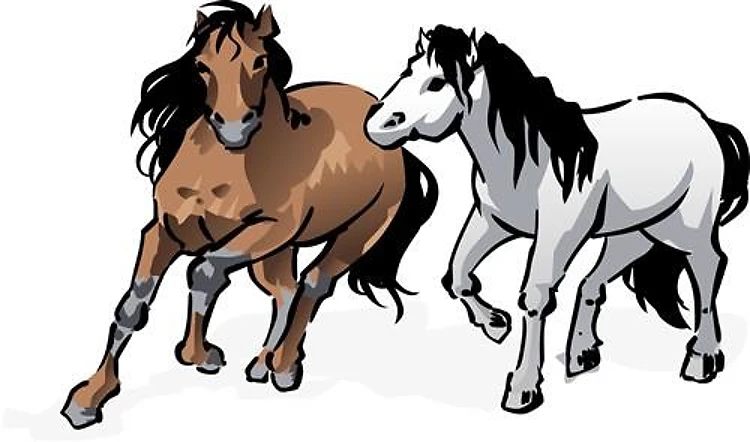 HORSES ONLY