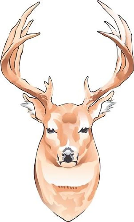 DEER BUST