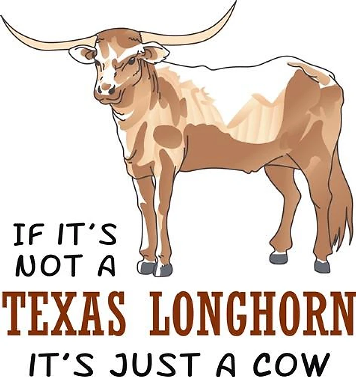 IF ITS NOT A LONGHORN