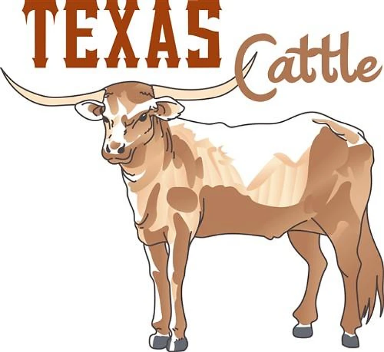 TEXAS CATTLE