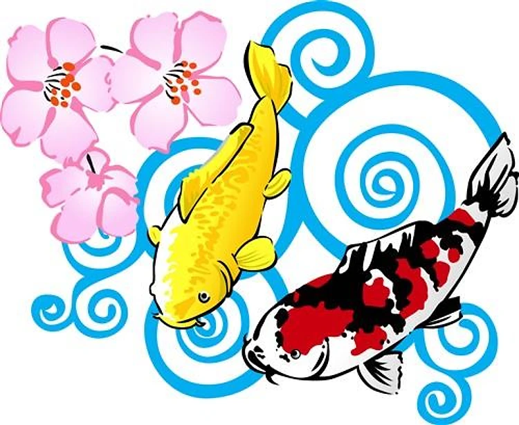 COLORFUL KOI