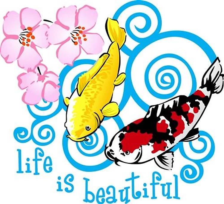 LIFE IS BEAUTIFUL