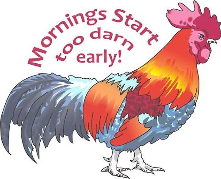 MORNING START TOO EARLY